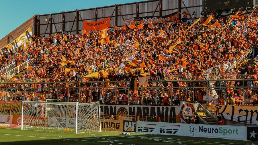 乐竞体育 APP — 营业执照与资质公示示意配图